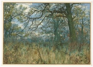 Puut ja aluskasvillisuus, 1885. tekijältä Garden William Fraser