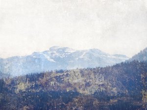 Misty Mountainin metsä tekijältä Gemma Bardot