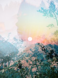 Serene Nature -profiili tekijältä Gemma Bardot
