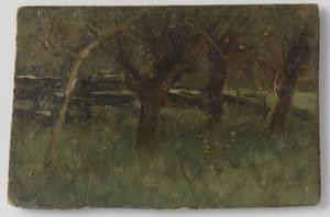 Hedelmätarha
