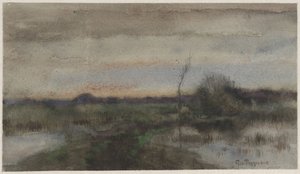 Suomaisema auringonlaskun kanssa