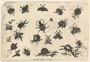 Pienet hyönteis- ja kasviaiheet, 1596. tekijältä Georg Herman