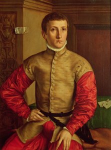 Nuoren miehen muotokuva, 1544