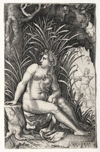 procris tekijältä Georg Pencz