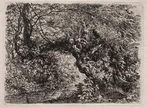 Vanha paju purossa, 1794. tekijältä Georg von Dillis