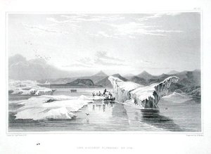 Jään puristama delfiini, Sir John Franklinin (1786-1847) Tarina matkasta Napameren rannoille vuosina 1819-22, kaiverrettu Edward Finden (1791-1857), julkaistu 1823-28 (väri) kaiverrus)