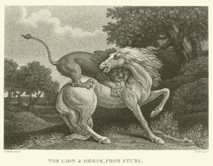 Leijona ja hevonen, Stubsista (kaiverrus)