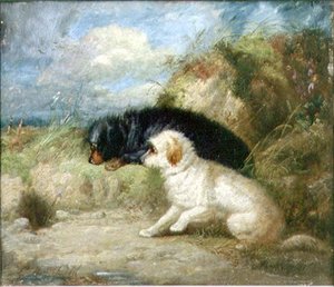 Terrierit Rabbit Holen luona