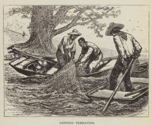Pinta-alkaen tekijältä George Augustus Sala