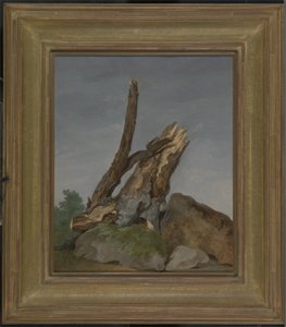 Study of Rocks and Branches, n. 1795 (öljy paperille)