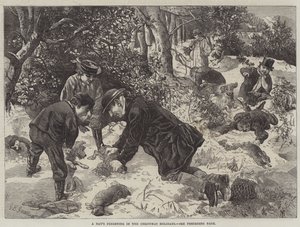 Päivän fretti joululoman aikana tekijältä George Bouverie Goddard