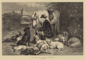 Dog Boy ja Clumber Spanielit