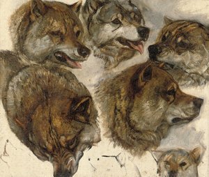 Huskyjen päiden tutkimukset tekijältä George Bouverie Goddard