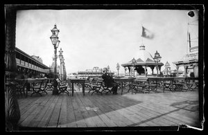 Cables and Iron Cow, Coney Island, Brooklyn, n. 1872-1887 (märkäkollodionin negatiivinen)
