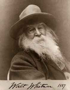 Walt Whitmanin muotokuva vuonna 1887 tekijältä George C. Cox