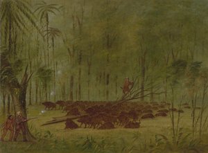 Taistelu pekkarien kanssa - Karibia, 18541869. tekijältä George Catlin