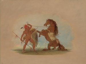 Pawnee-soturi uhraamassa suosikkihevosensa, 18611869. tekijältä George Catlin