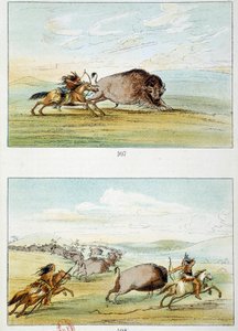 Amerikan intiaanit: piisonin metsästys. Kuvitus George Catlin (1794-1872) tekijältä George Catlin