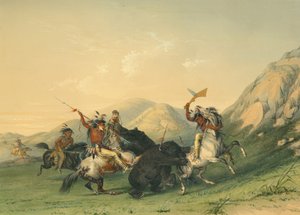 Hyökkäys Grizzly-karhua vastaan tekijältä George Catlin