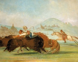 Batiste ja minä juoksemassa puhvelia, Yellowstonen suu tekijältä George Catlin