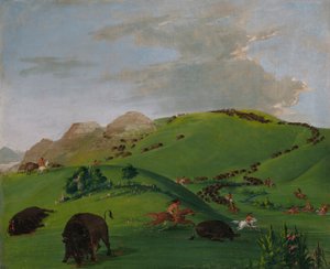 Buffalo Chase, Yellowstonen suu tekijältä George Catlin