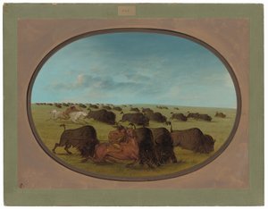Buffalo Chase onnettomuuksien kanssa tekijältä George Catlin
