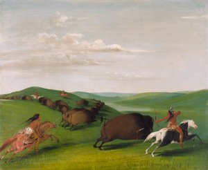 Buffalo Chase jousien ja keihäiden kanssa tekijältä George Catlin