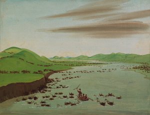 Buffalo Herds ylittää Ylä-Missourin, 1832.