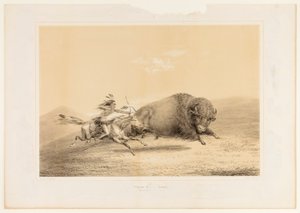 Buffalo Hunt, Chase... ei. 5 tekijältä George Catlin