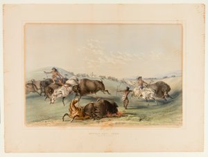 Buffalo Hunt, takaa-ajo nro 7 tekijältä George Catlin