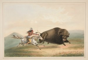 Buffalo Hunt, Chase, pl. 5 Pohjois-Amerikan intiaaniportfoliosta tekijältä George Catlin