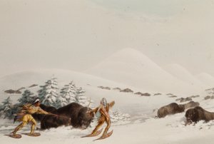 Biisoninmetsästys lumikengillä tekijältä George Catlin