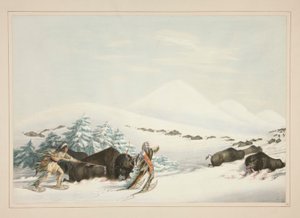 Buffalo Hunt, On Snow Shoes, pl. 15 Pohjois-Amerikan intiaaniportfoliosta tekijältä George Catlin