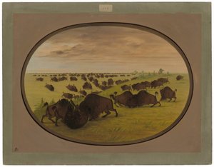 Härkätaistelu tekijältä George Catlin