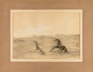 Villihevosen kiinniottaminen - ei. 4 tekijältä George Catlin