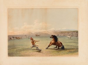 Villihevosen kiinniottaminen - ei. 4 tekijältä George Catlin