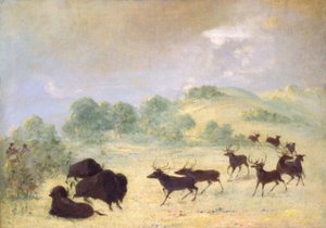 Hirvi ja puhveli tutustumassa, Texas tekijältä George Catlin