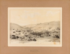 Intiaanit Buffalon ympärillä - nro 9. tekijältä George Catlin