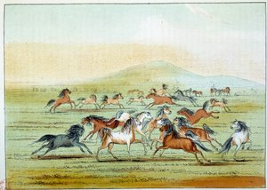 Amerikan intiaanit: intiaanien metsästämät villihevoset. Kuvitus George Catlin (1794-1872) tekijältä George Catlin
