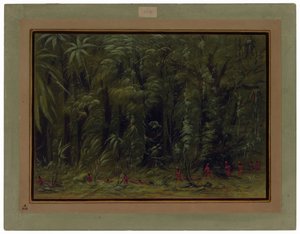Amazonin metsän sisätilat - Zurumati tekijältä George Catlin
