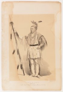Joc-o-sot, kävelevä karhu tekijältä George Catlin
