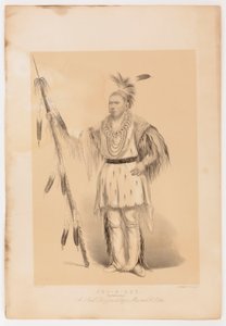 Joc-o-sot, kävelevä karhu tekijältä George Catlin
