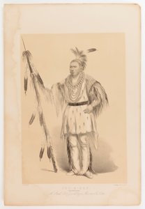 Joc-o-sot, kävelevä karhu tekijältä George Catlin