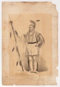Joc-o-sot, kävelevä karhu tekijältä George Catlin