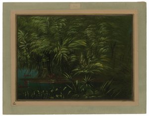 Rehevä metsä Amazonin rannalla tekijältä George Catlin