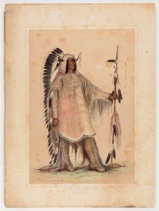Mah-to-toh-pa, Mandan-päällikkö, - tekijältä George Catlin