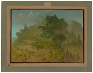Rhododendron vuori tekijältä George Catlin