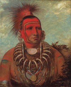 Shon-ta-yi-ga, Pikku susi, kuuluisa soturi, 1844-1845. tekijältä George Catlin