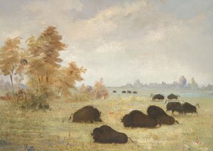 Stalking Buffalo, Arkansas tekijältä George Catlin