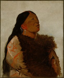 Kuuden vaimo tekijältä George Catlin